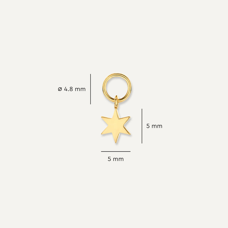 Star Hoop Charm