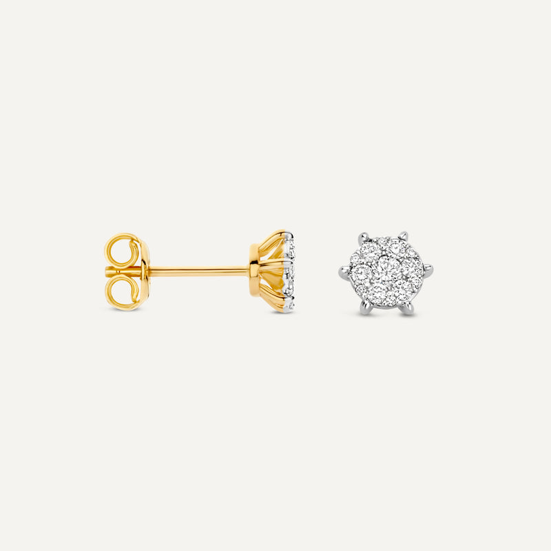 Clous d'Oreilles Cluster Diamant Six Prong